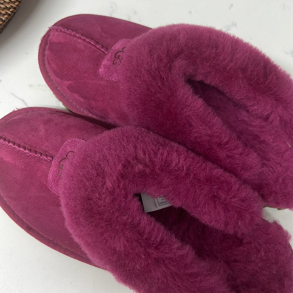 UGG brand new